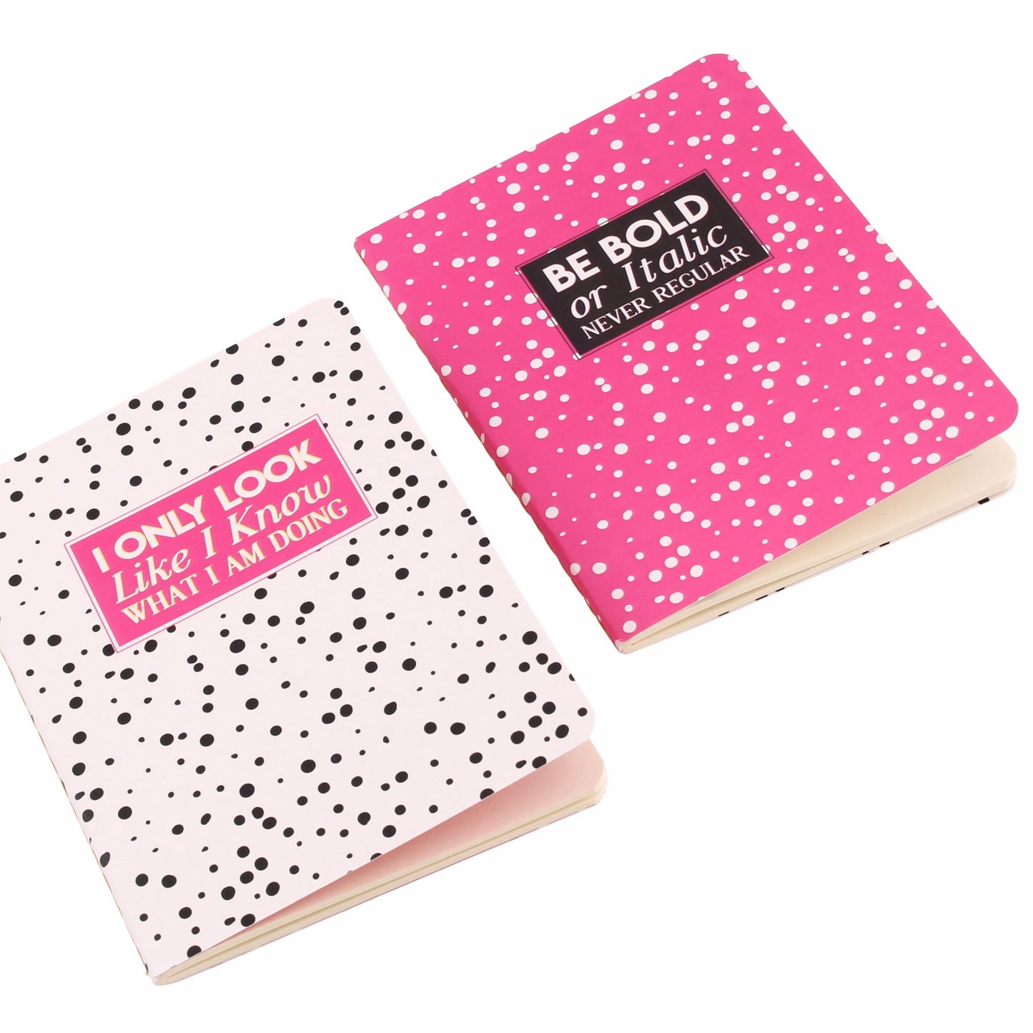 2 x A6 paperback notebooks with slogans I only look like I know what I'm doing Be bold or italic never regular