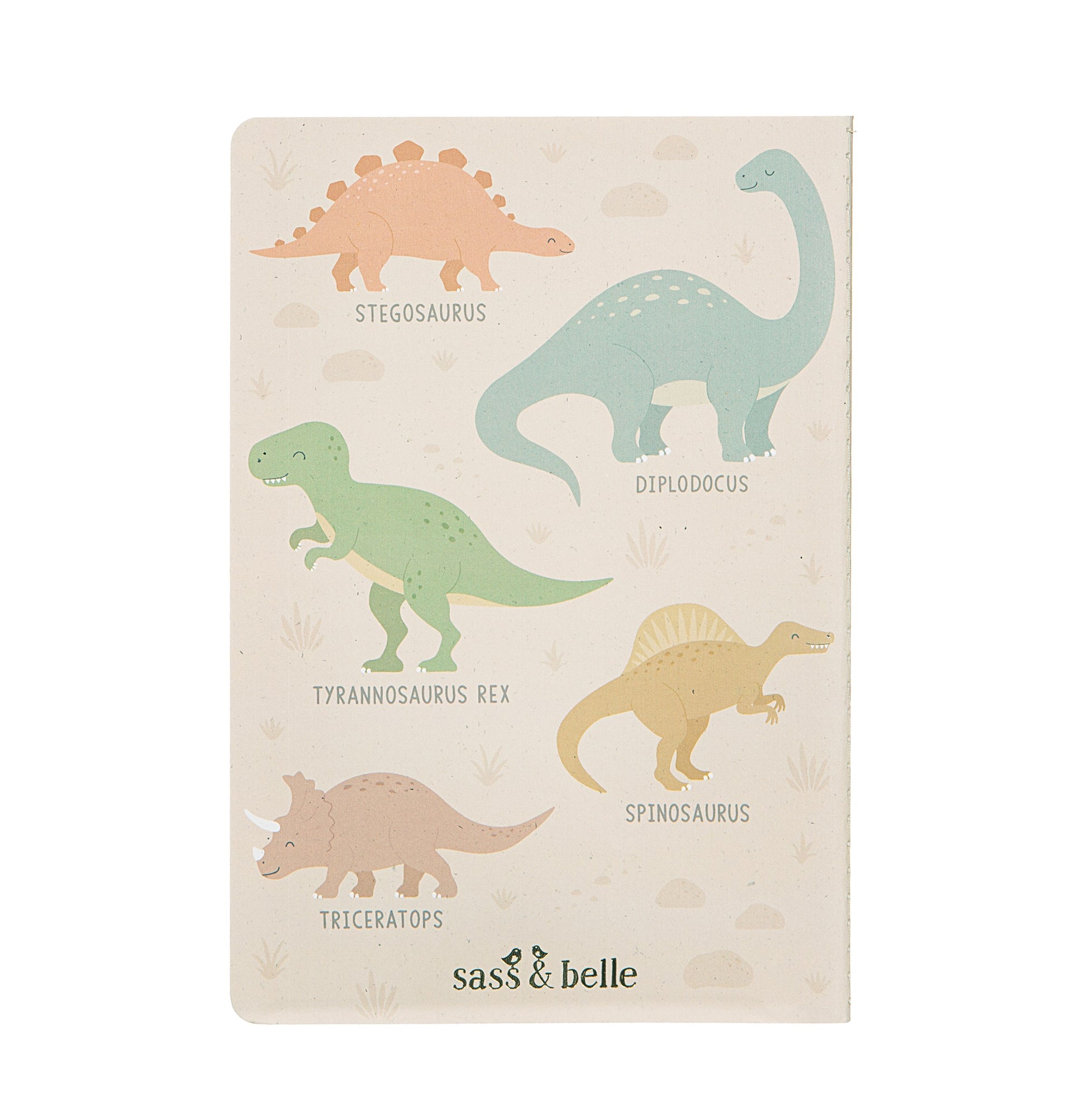 Reverse of dinosaur notebook
