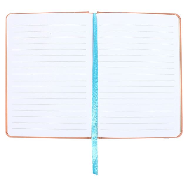 A6 hard cover notebook in pink with phrase: Amazing Plans